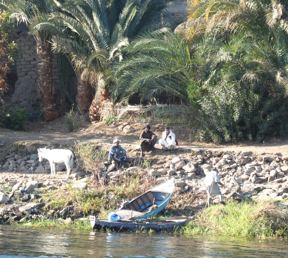Along the Nile