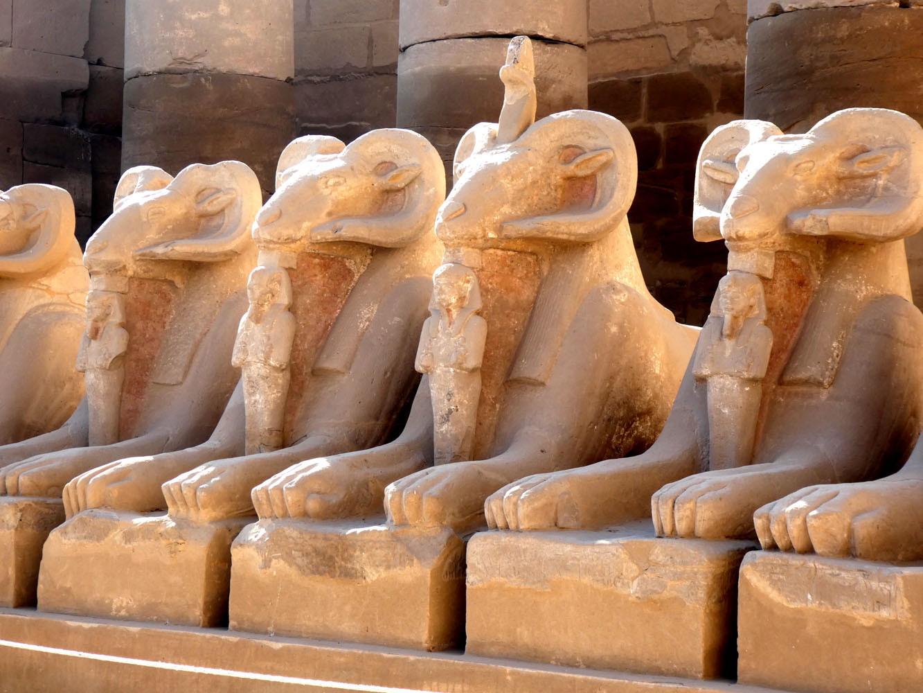 Extensive Goats and Lions